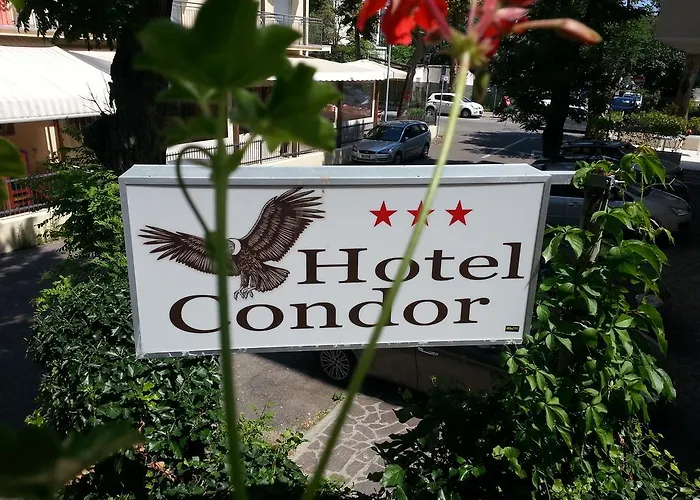 Condor 3*